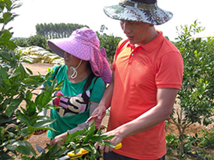 技術優勢